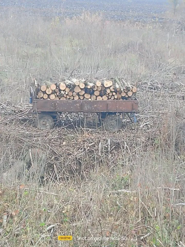 На продају топола