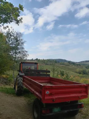 Traktor Same - slika 3