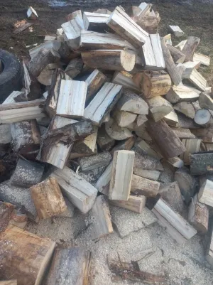 Na prodaju topola za šporet