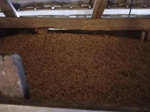 Zob na prodaju - slika 2