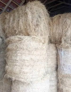 Livadsko seno - slika 2